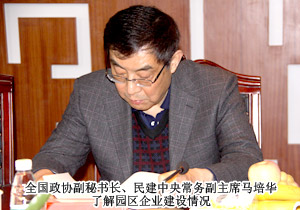 全國(guó)政協(xié)副秘書長(zhǎng)、民建中央常務(wù)副主席馬培華一行蒞臨綠之韻集團(tuán)考察