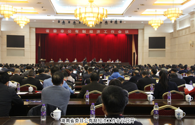 綠之韻集團(tuán)董事長(zhǎng)胡國(guó)安出席湖南省委非公有制經(jīng)濟(jì)工作會(huì)議，并接受湖南衛(wèi)視、經(jīng)視采訪