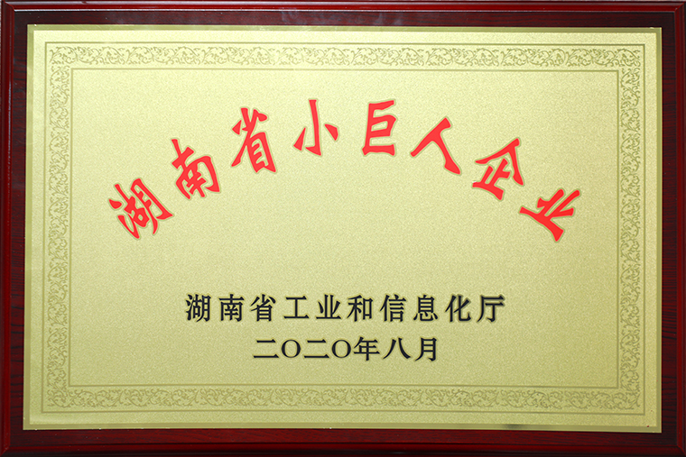 喜訊｜綠之韻集團獲評2020年“湖南省小巨人企業(yè)”