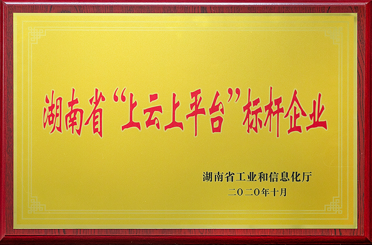 綠之韻集團獲評2020年湖南省“上云上平臺”標桿企業(yè)