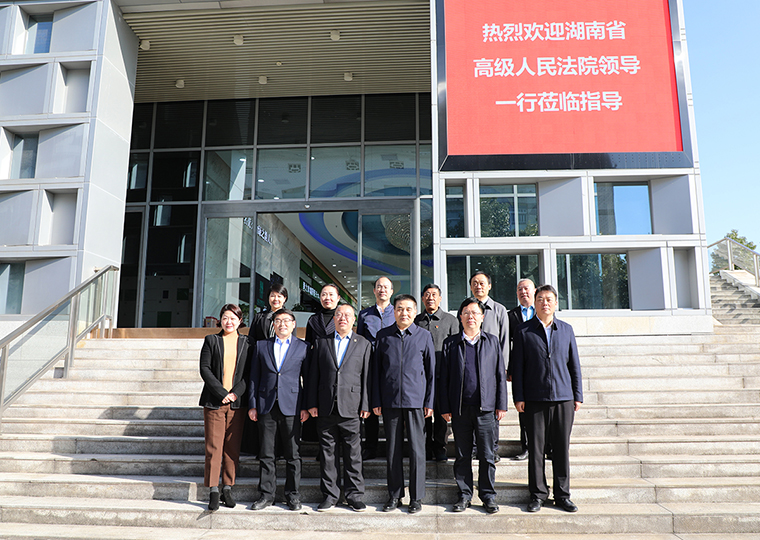 湖南省高級人民法院黨組書記、院長田立文一行蒞臨綠之韻調(diào)研指導
